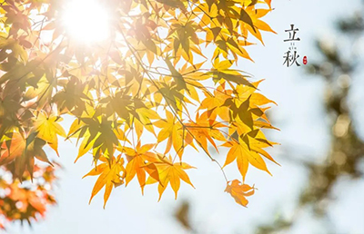 立秋養(yǎng)生：順應(yīng)時節(jié)，調(diào)養(yǎng)身心