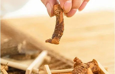 夏日三伏，教你如何科學(xué)養(yǎng)生，飲食指南讓你健康又消暑…