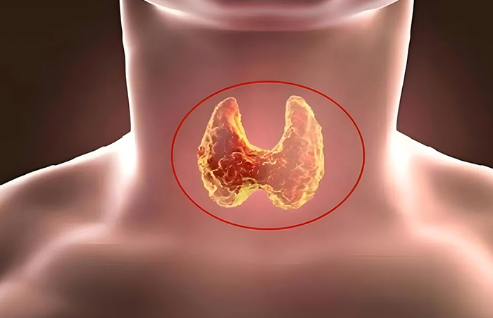 主任專(zhuān)家溫馨提醒 / 頸部摸到小腫塊，千萬(wàn)不可忽視，可能是您的身體在“報(bào)警”！